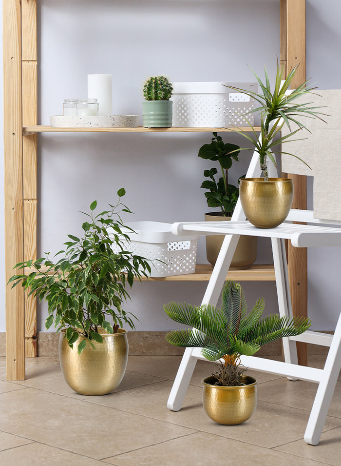 Gold Vintage Aluminum Vase - Perfect Decorative Accent for Plants, Available in 3 Sizes and KIT