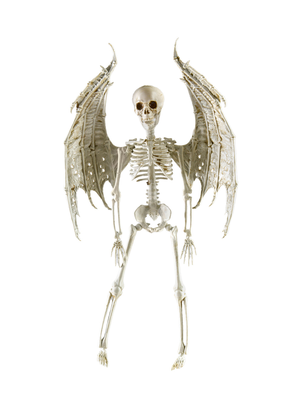 16" Angel Skeleton Figurine