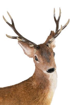 Lifelike Standing Deer Figurine