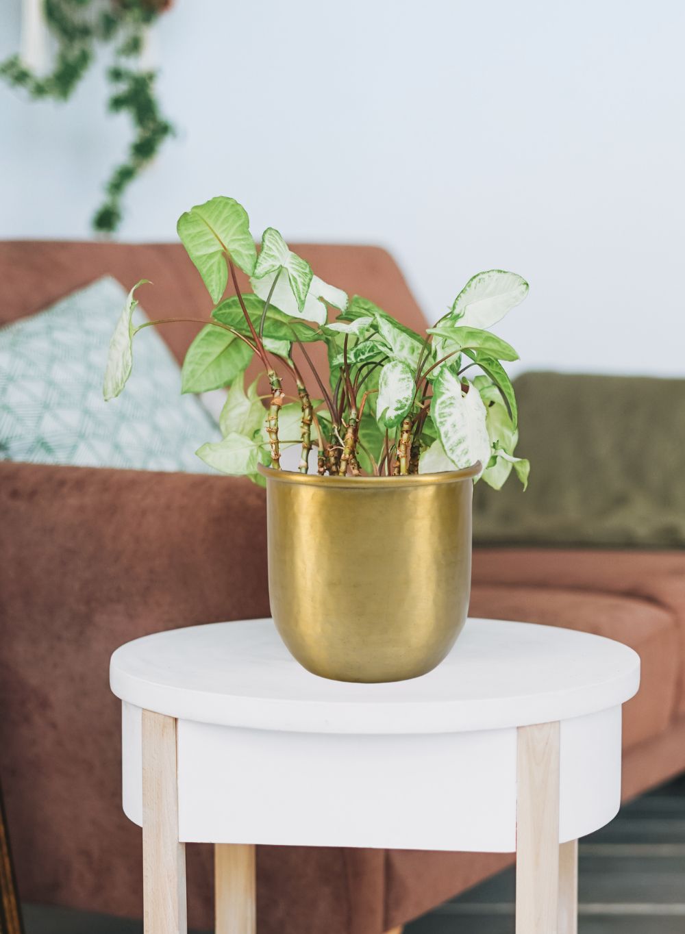 Antiqued Brass Vase-Simple Design with Curved Base Accent Piece,2 Sizes