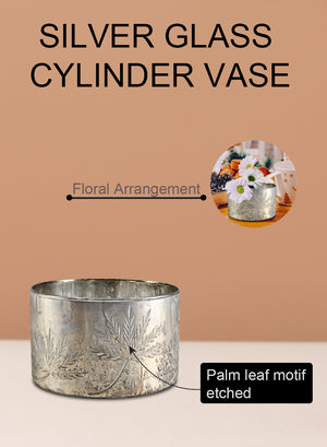 Serene Spaces Living Glass Cylinder Vase, Available in 2 Colors