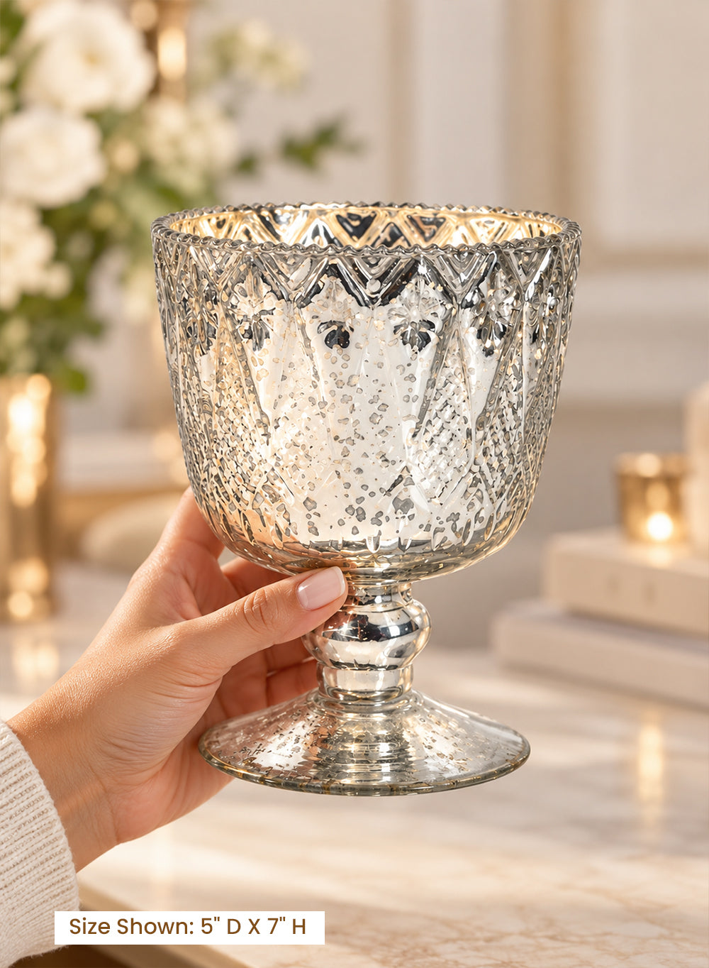 Patterned Silver Glass Coupes Collection