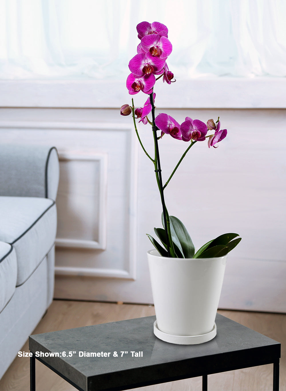 Arca White Ceramic Tapered Planter, 6.5" Diameter & 7" Tall