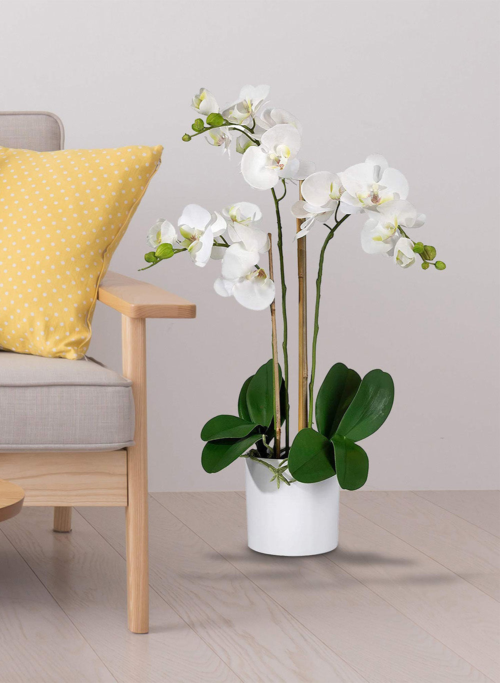 Potted Faux Phalaenopsis Orchids, 5" Diameter & 26" Tall, in 2 Colors