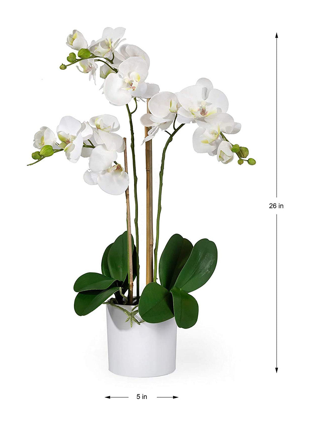 Potted Faux Phalaenopsis Orchids, 5" Diameter & 26" Tall, in 2 Colors