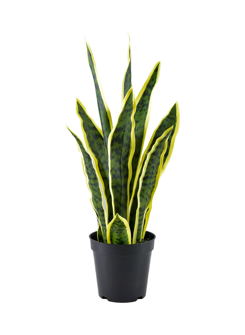 Artificial Snake Plant, 5" Diameter & 20" Tall