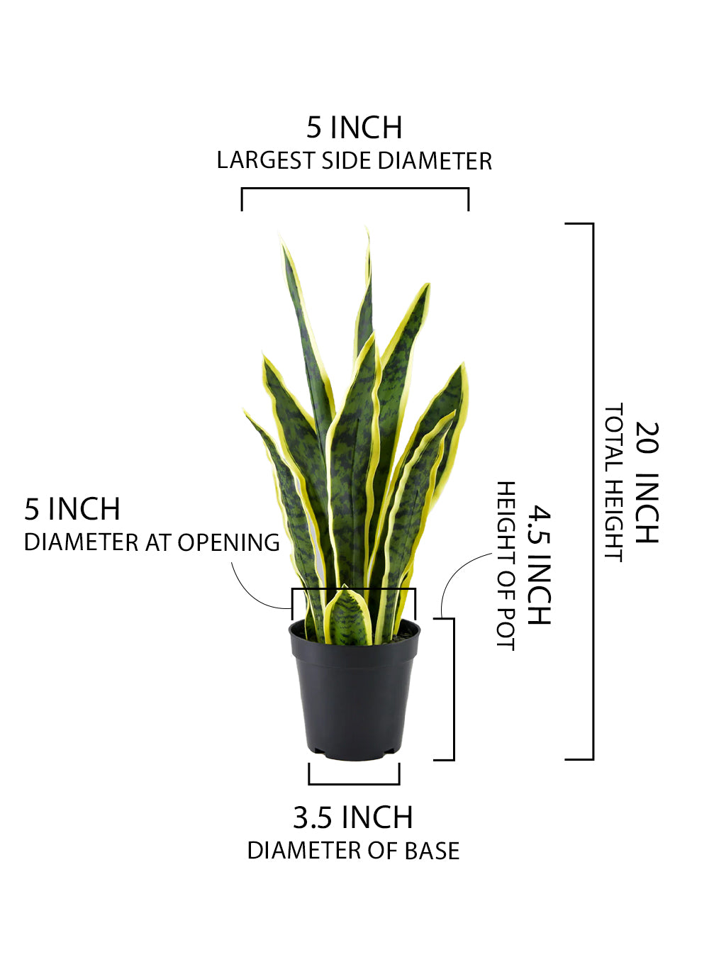 Artificial Snake Plant, 5" Diameter & 20" Tall