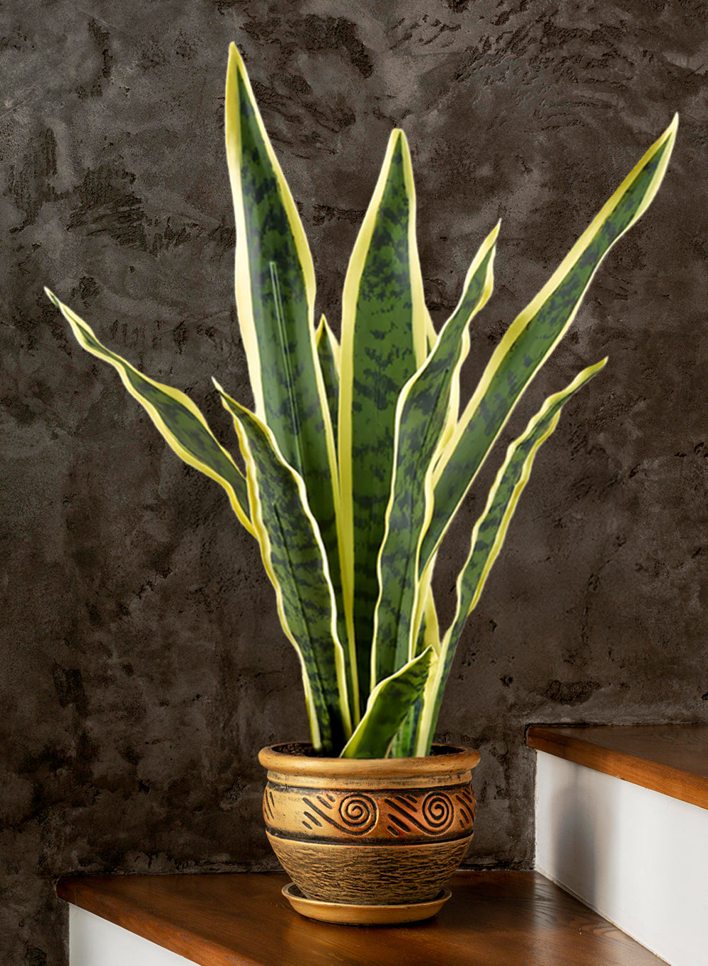 Artificial Snake Plant, 5" Diameter & 20" Tall