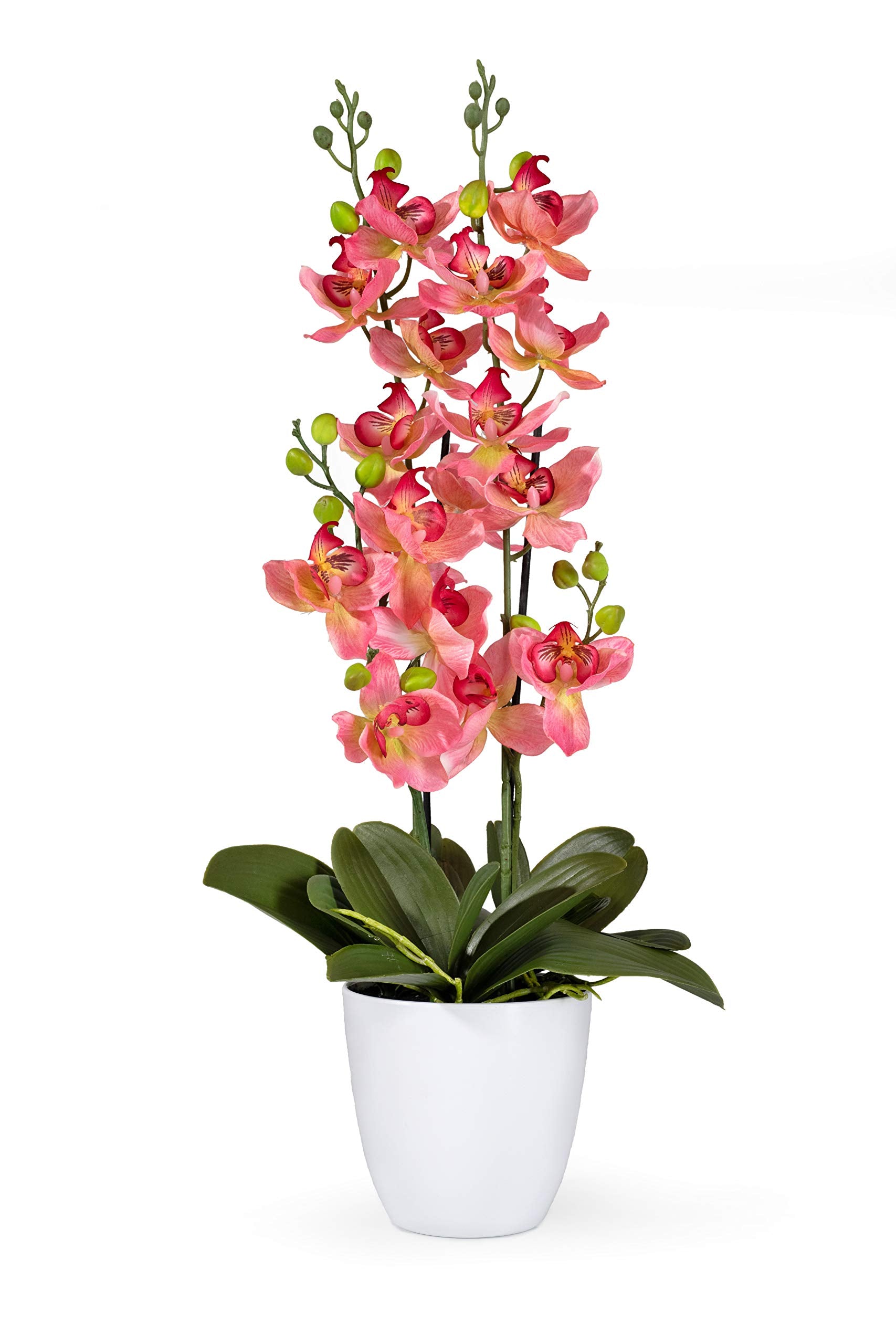 Potted Faux Phalaenopsis Orchids, 5" Diameter & 26" Tall, in 2 Colors