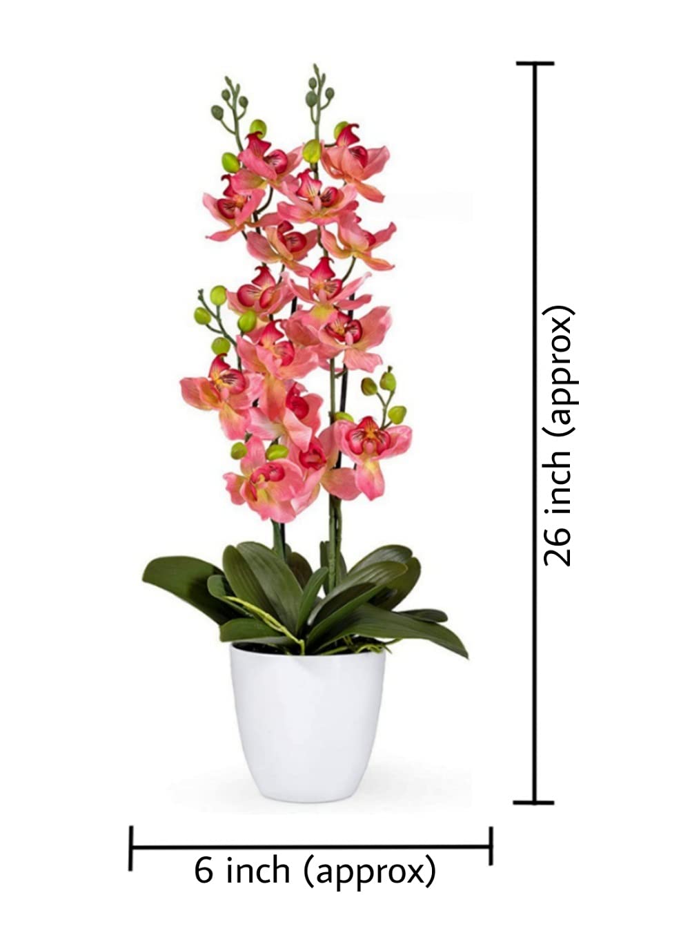 Potted Faux Phalaenopsis Orchids, 5" Diameter & 26" Tall, in 2 Colors