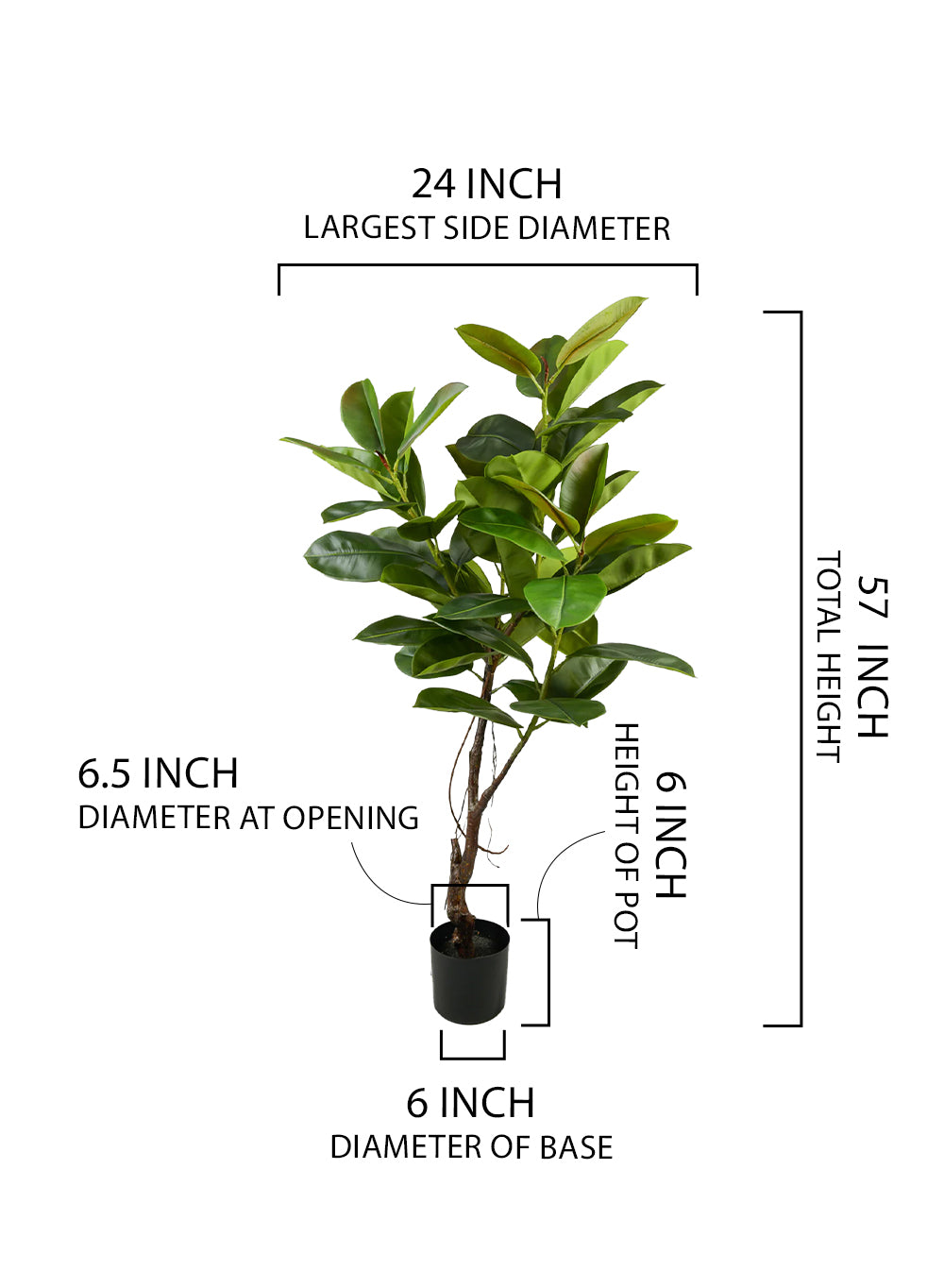 Artificial Rubber Plant, 24" Diameter & 57" Tall