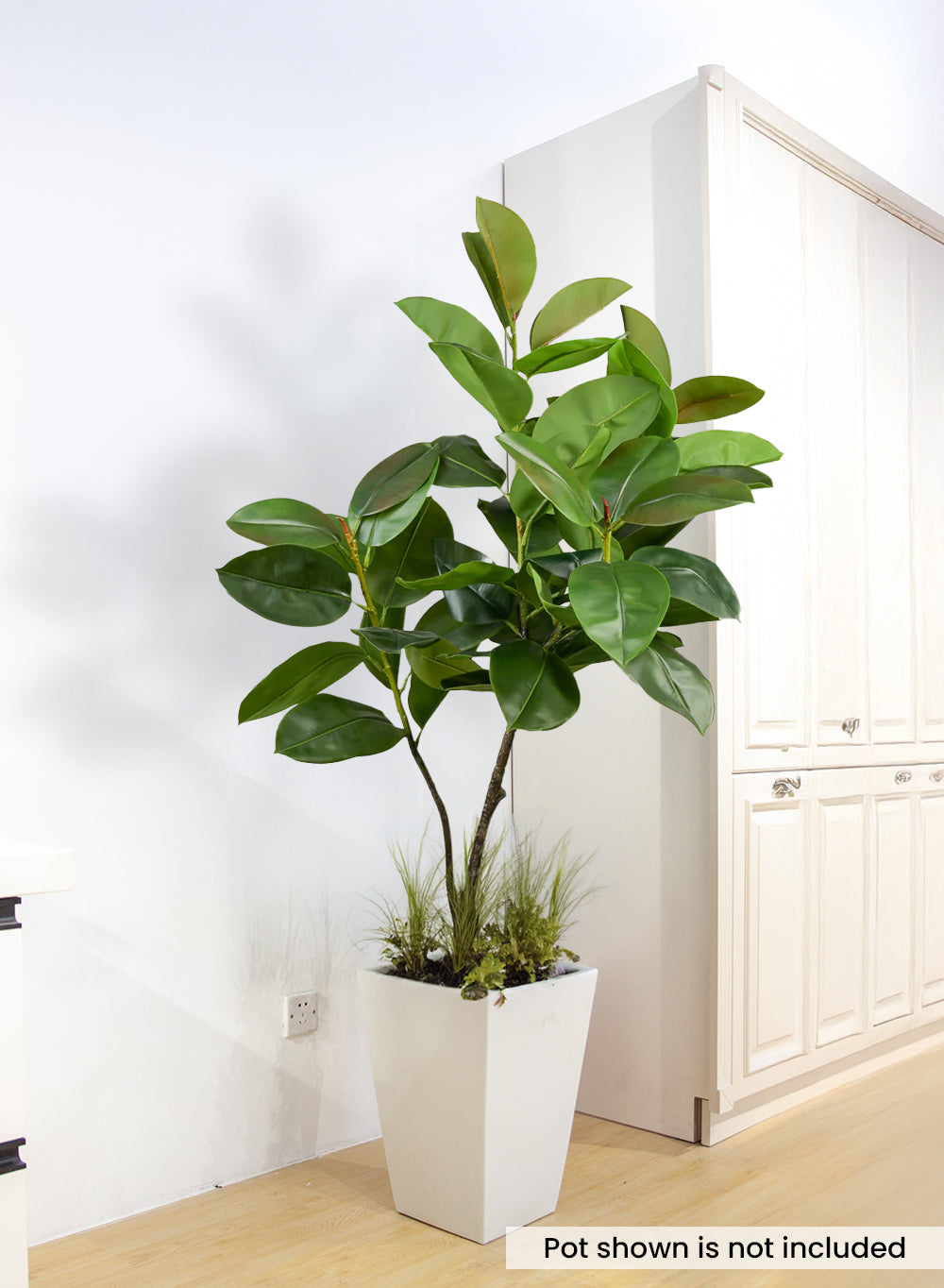 Artificial Rubber Plant, 24" Diameter & 57" Tall