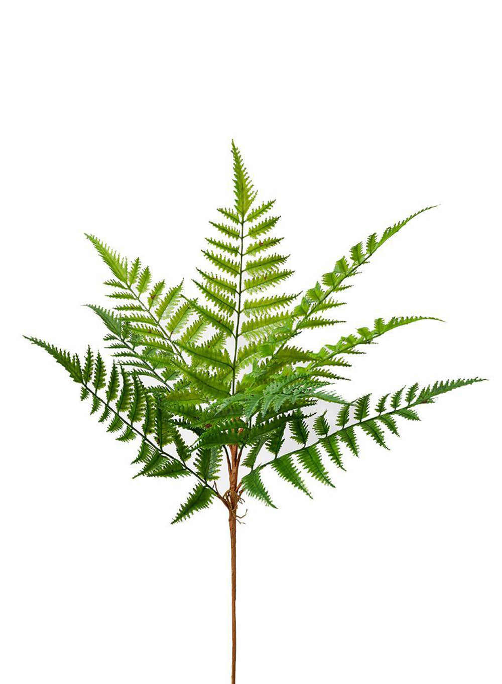 24" Artificial Fern Bush, Pack of 12