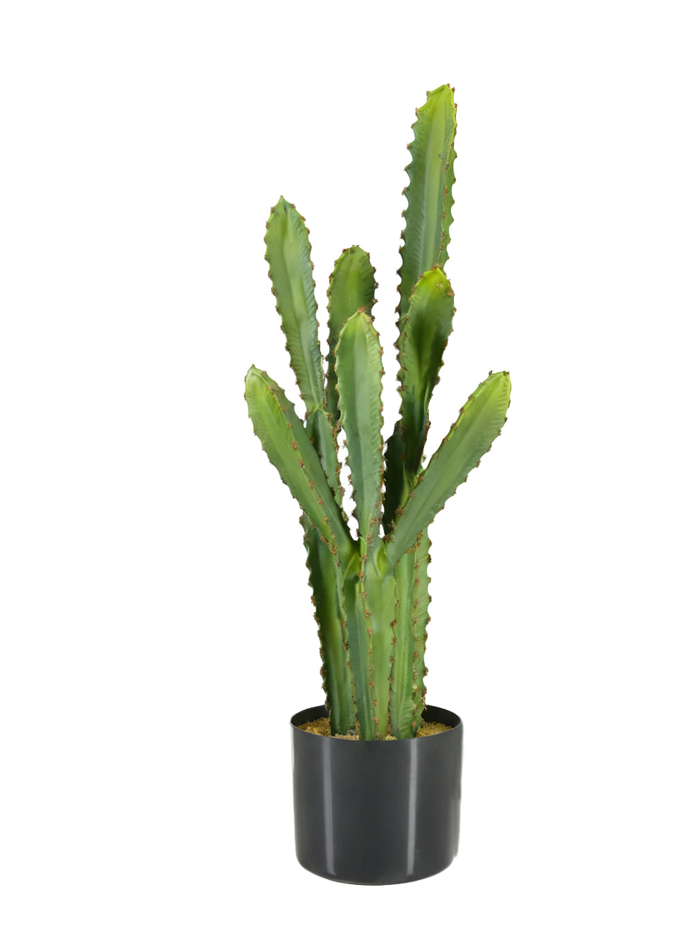 Desert Noir Faux Cactus in Black Pot, 6" Diameter & 27" Tall