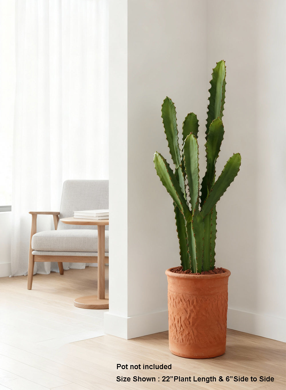 Desert Noir Faux Cactus in Black Pot, 6" Diameter & 27" Tall