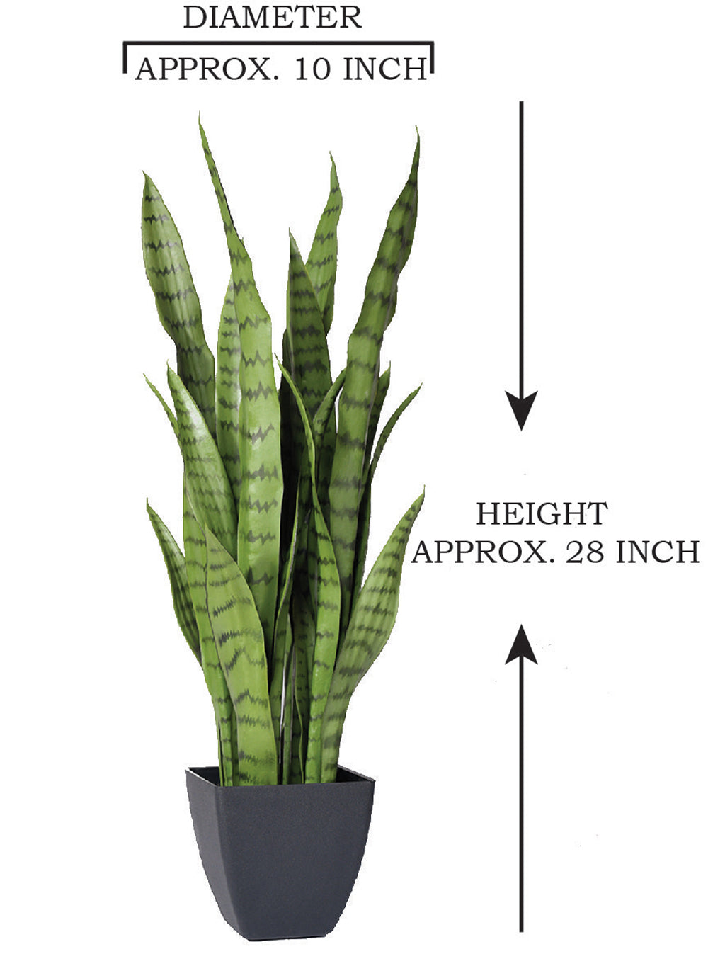 Artificial Snake Plant in Black Pot, 10" Diameter & 28" Tall