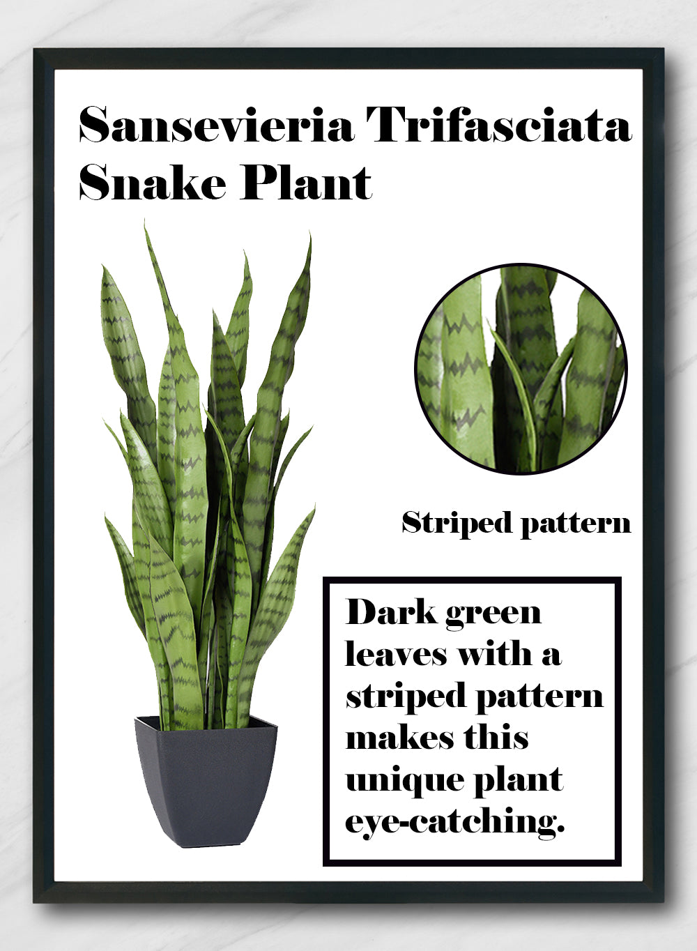 Artificial Snake Plant in Black Pot, 10" Diameter & 28" Tall