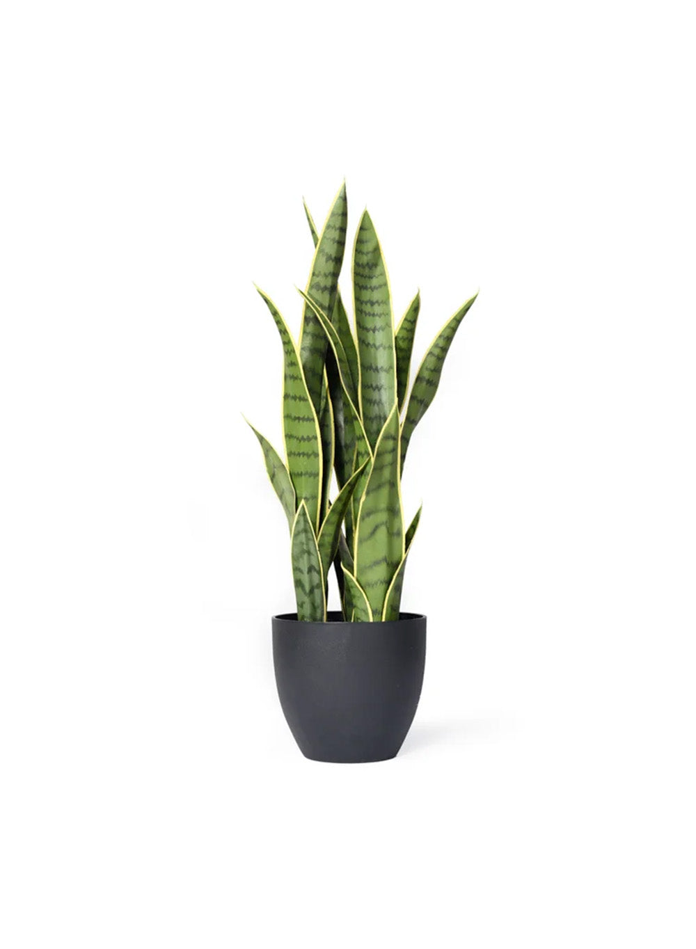 Artificial Bird's Nest Snake Plant in Black Pot, 10" Diameter & 27" Tall