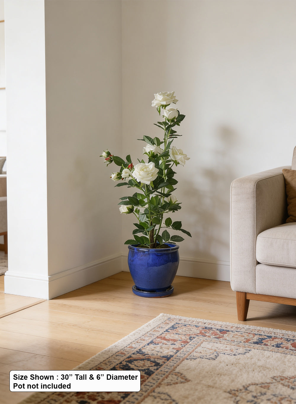 Artificial White Rose Potted Plant, 6" Diameter & 30" Tall