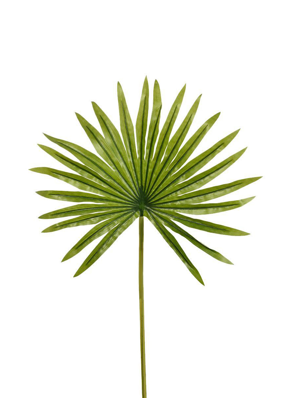 19" Mini Fan Palm Leaf, Pack of 12