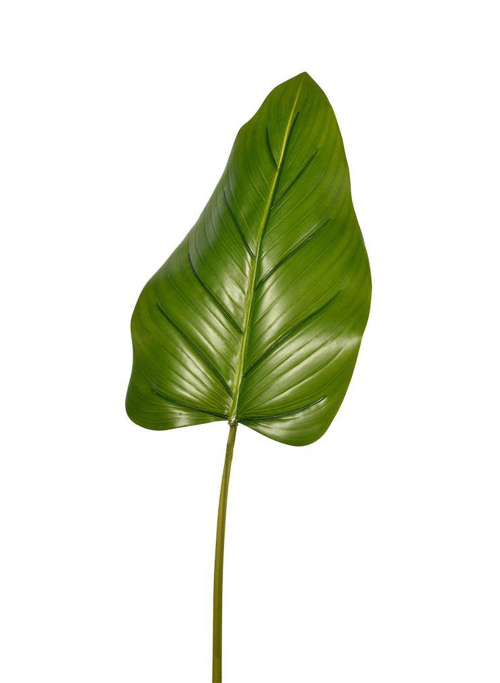 37" Faux Beryl Leaf, Pack of 12