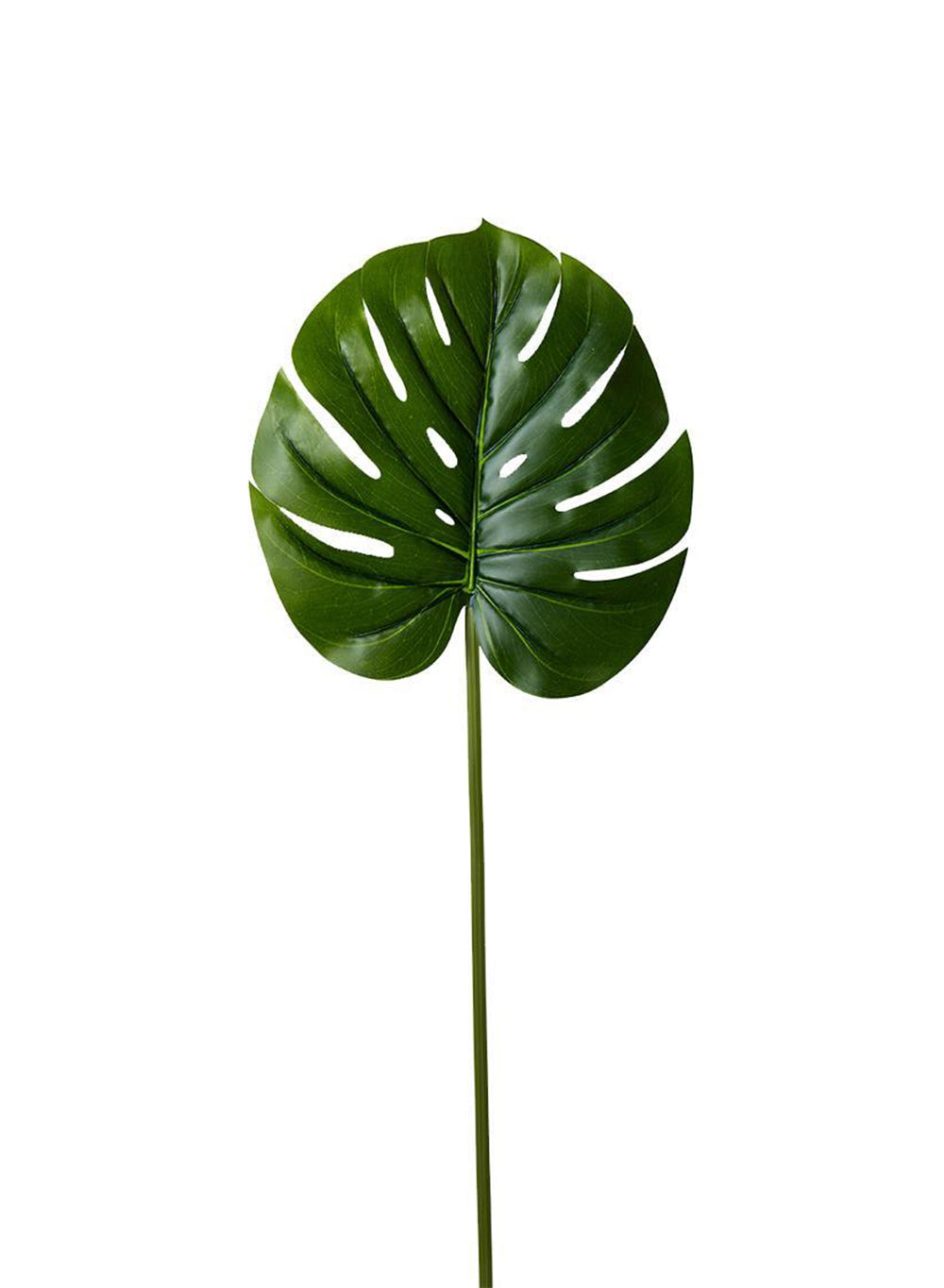 26" Monstera Leaf, Pack of 12