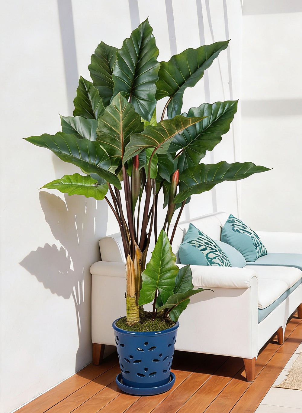 Artificial Elephant Ear Plant in Pot, 9.5" Diameter & 68.5" Tall