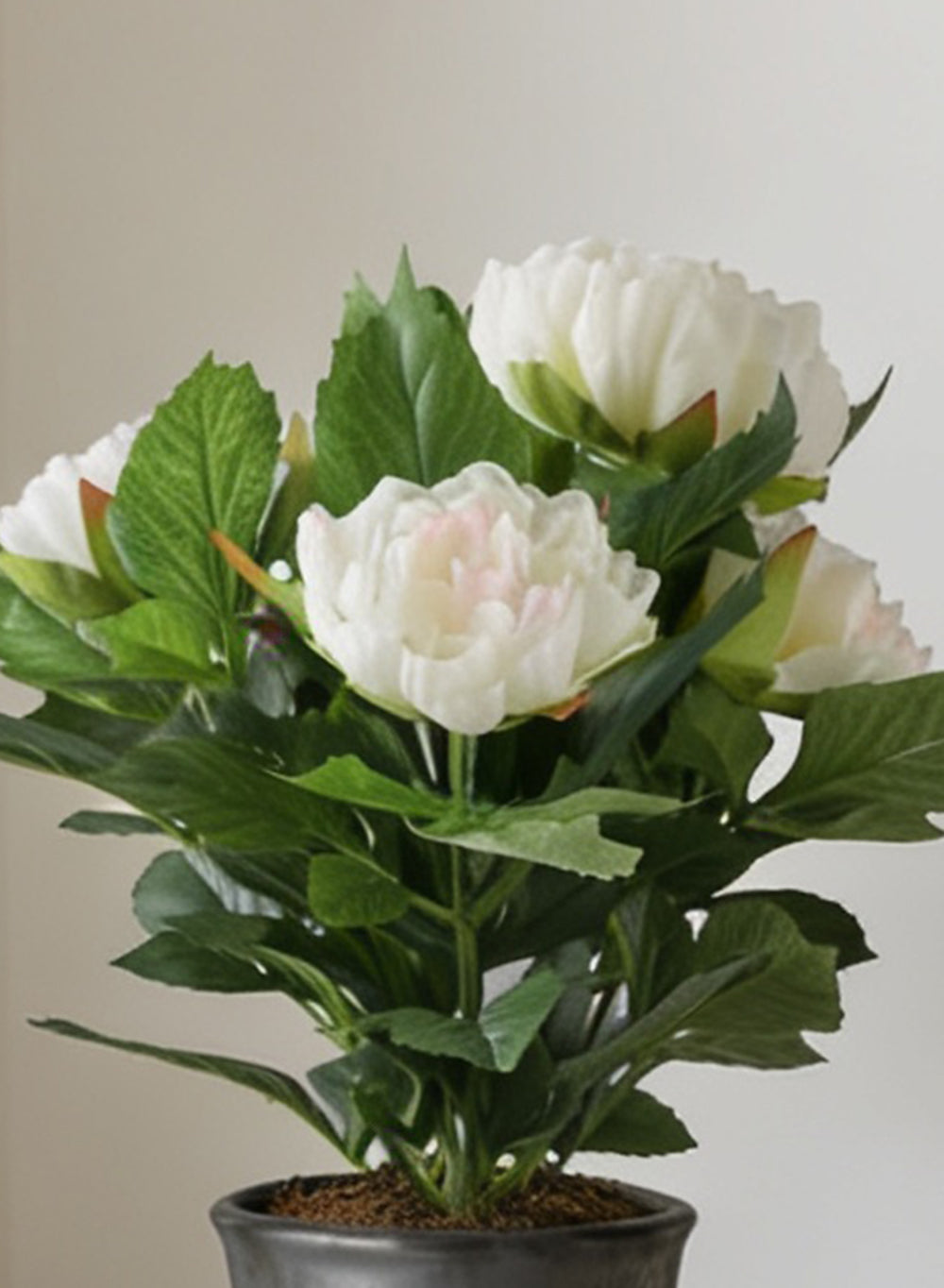 Artificial White Peony Potted Plant, 5" Diameter & 19.5" Tall