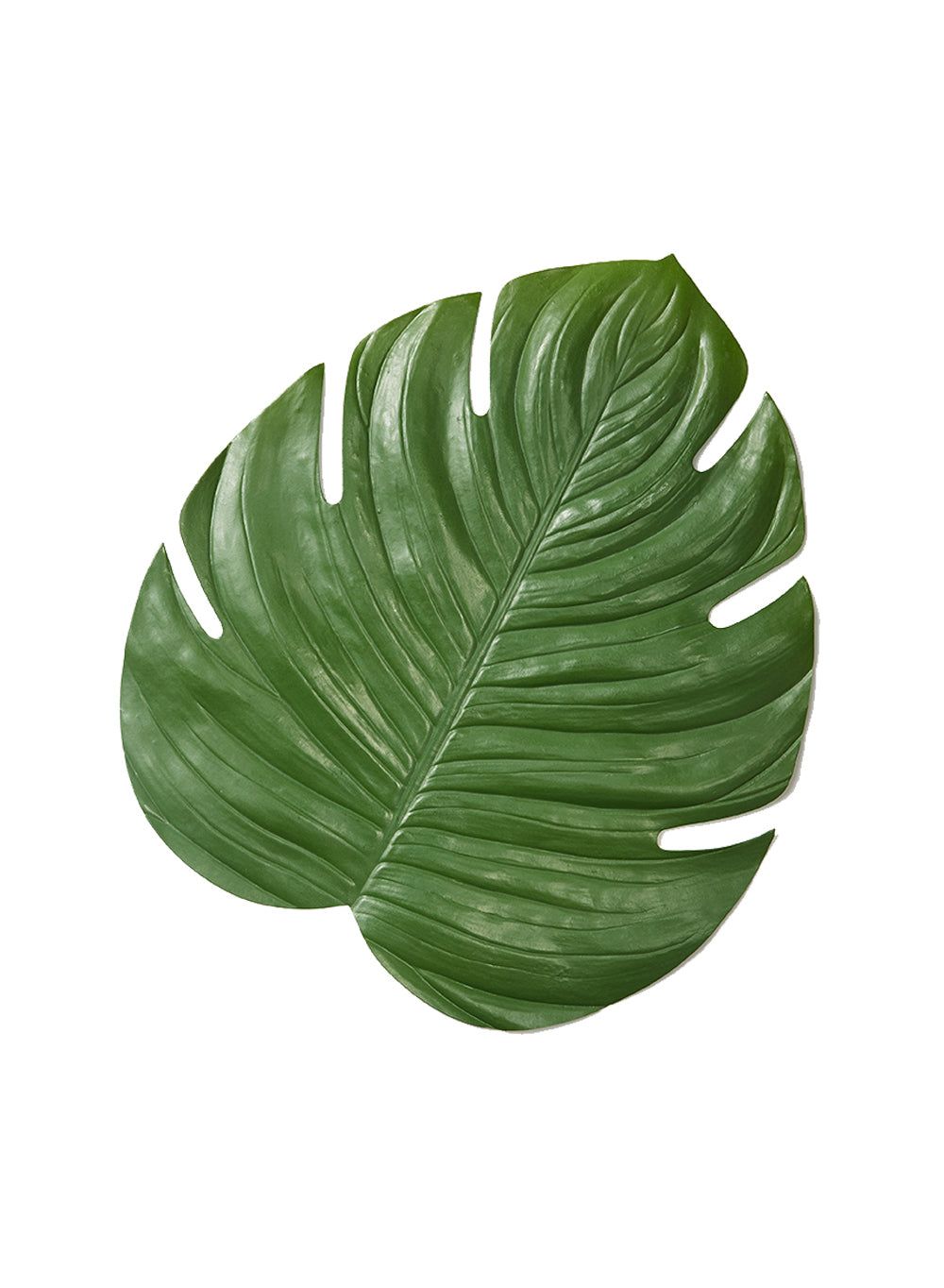 16.5" Monstera Leaf Placemat, Pack of 12