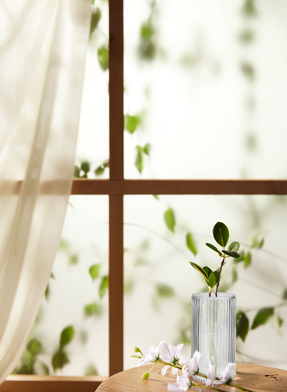 Clear Ribbed Vase, in 2 Sizes