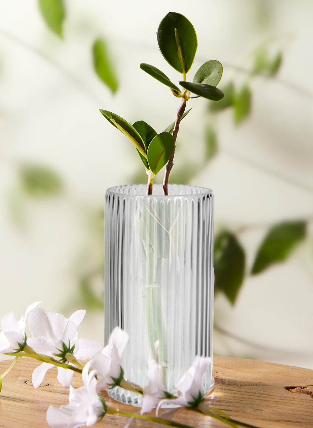 Clear Ribbed Vase, in 2 Sizes