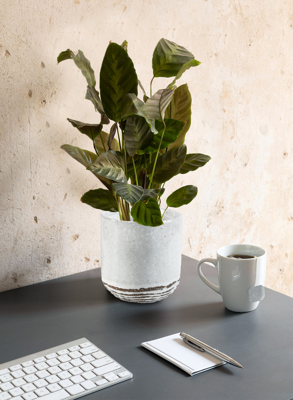 Frosted Ceramic Cup Vase, in 2 Sizes