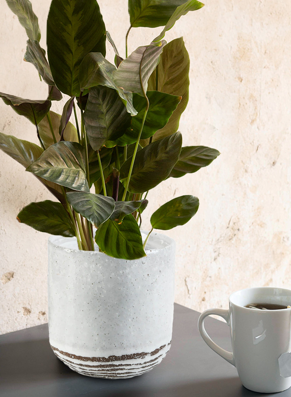 Frosted Ceramic Cup Vase, in 2 Sizes