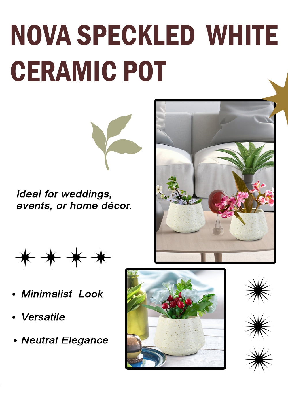 Nova Speckled Ceramic Pot, 5.5" Diameter & 3.5" Tall