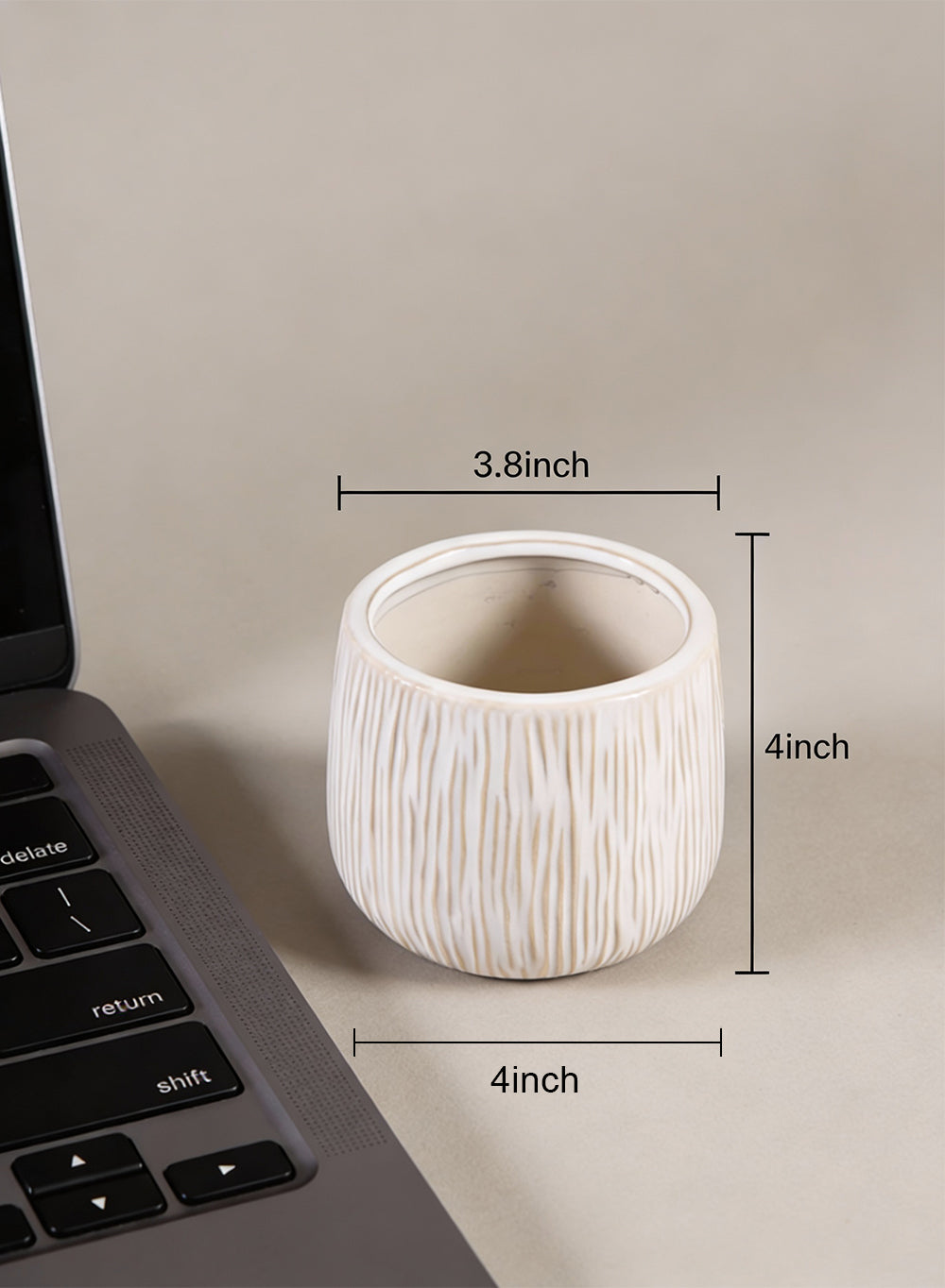 Arlo Ribbed Ceramic Cachepot Collection