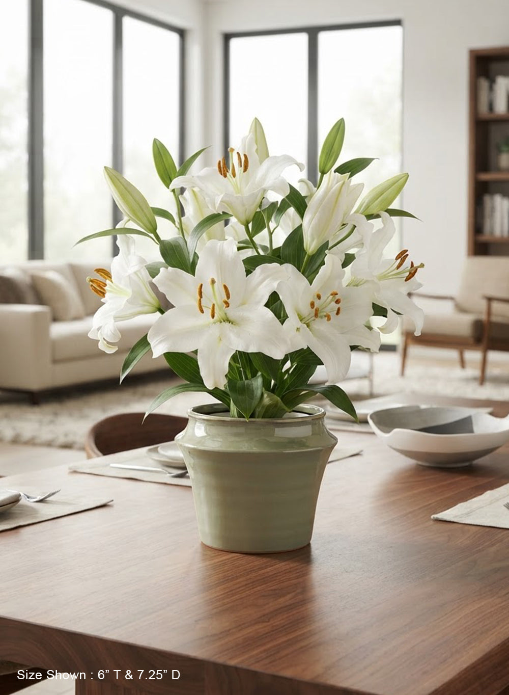 Sage Green Glazed Ceramic Planter Collection
