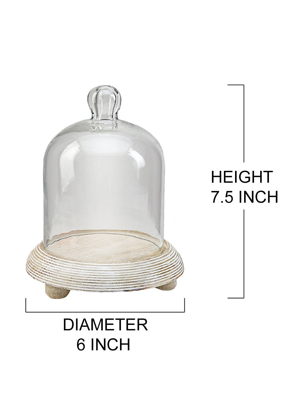 Glass Cloche, in 2 Sizes