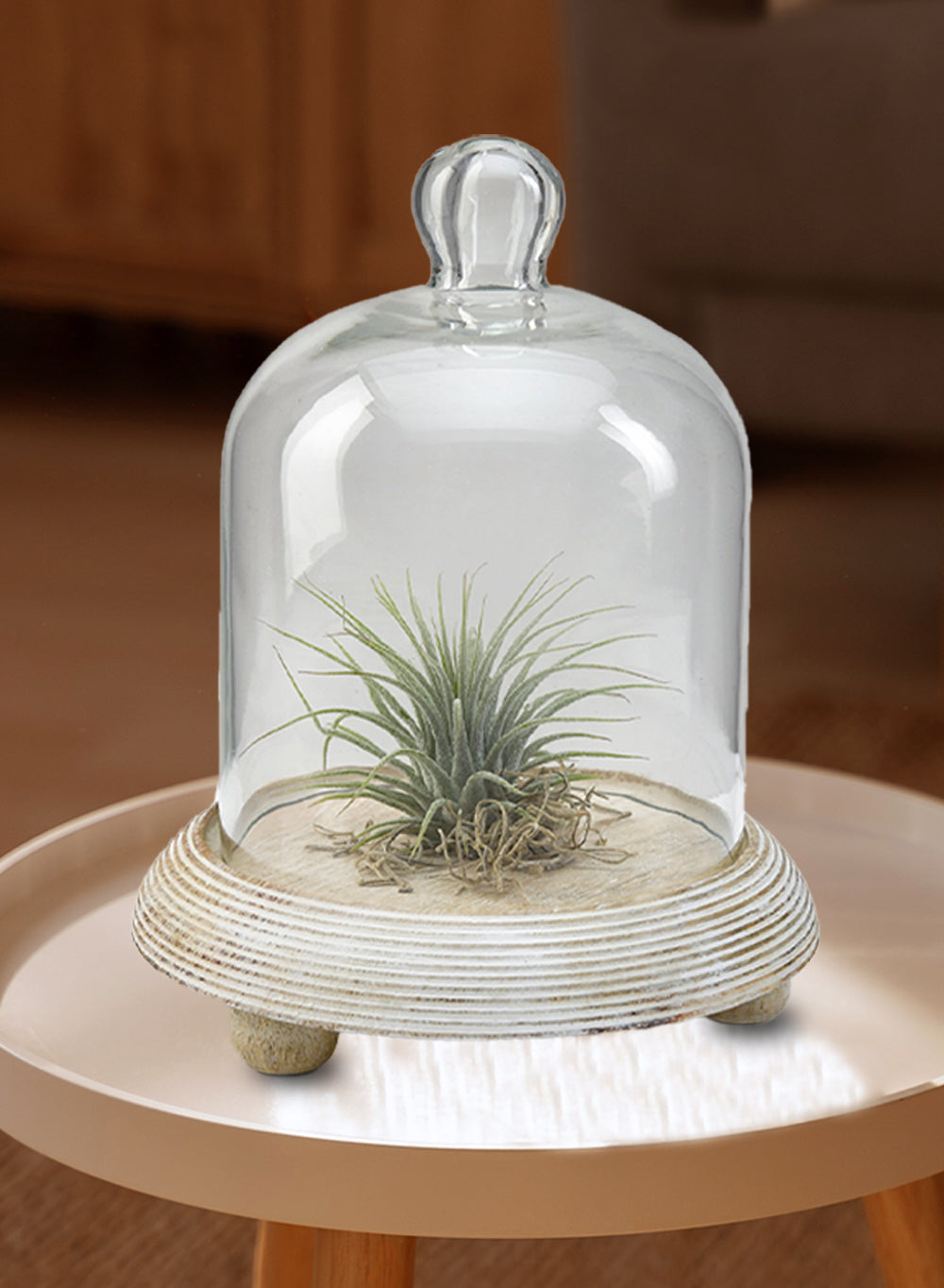 Glass Cloche, in 2 Sizes