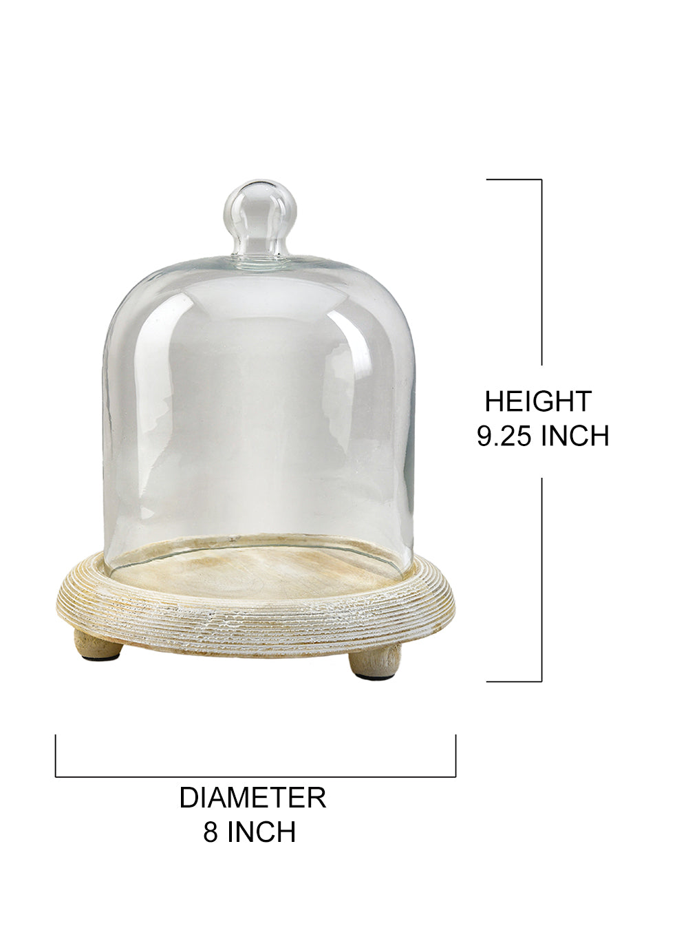 Glass Cloche, in 2 Sizes