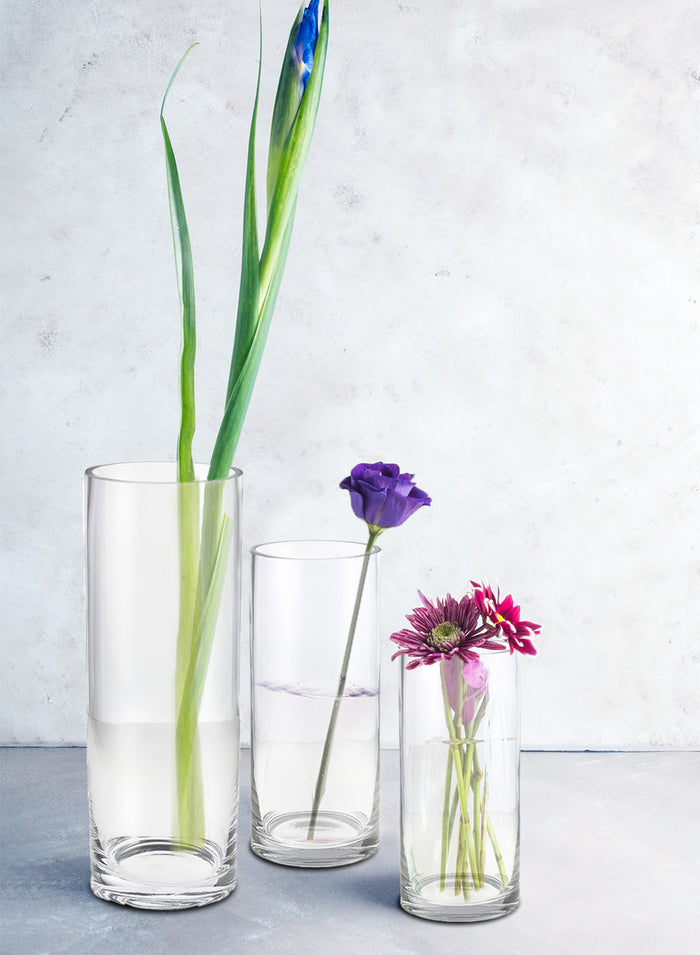 Serene Spaces Living Set of 12 Glass Cylinder Hurricane Vase- 3.5" Dia & 6" Tall