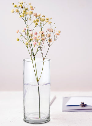 Glass Cylinder Hurricane Vase, in 4 Size Options