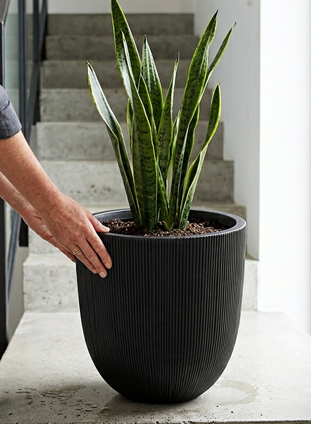 Ebon Ribbed PVC Planter Collection
