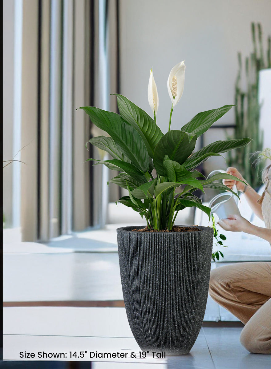 Tall Ribbed Black Planter | Planters