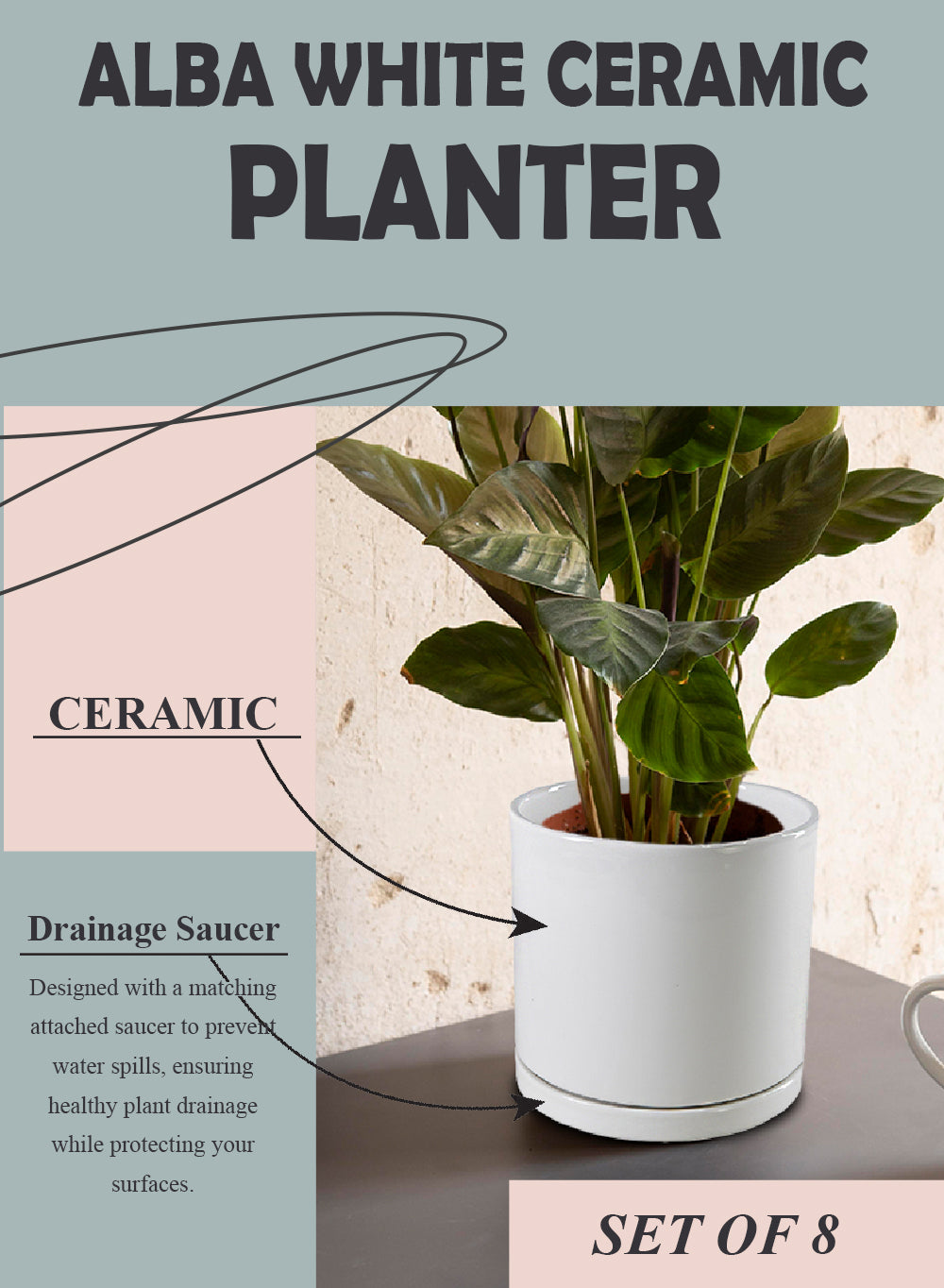 Alba White Ceramic Planter, 6.5" Diameter & 6" Tall
