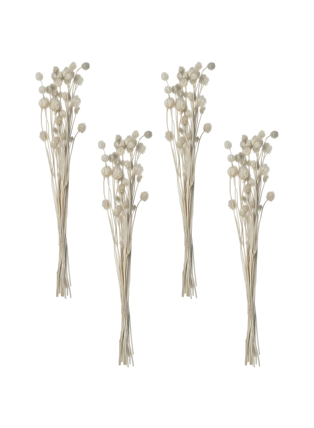 Natural Pom-Pom Dried Floral Stems, 23.5" Tall, Pack of 4