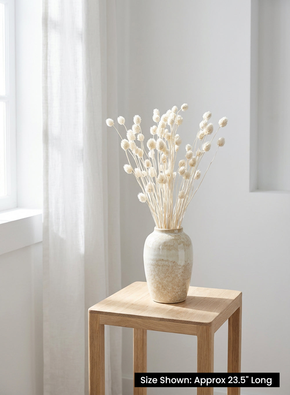 Natural Pom-Pom Dried Floral Stems, 23.5" Tall, Pack of 4