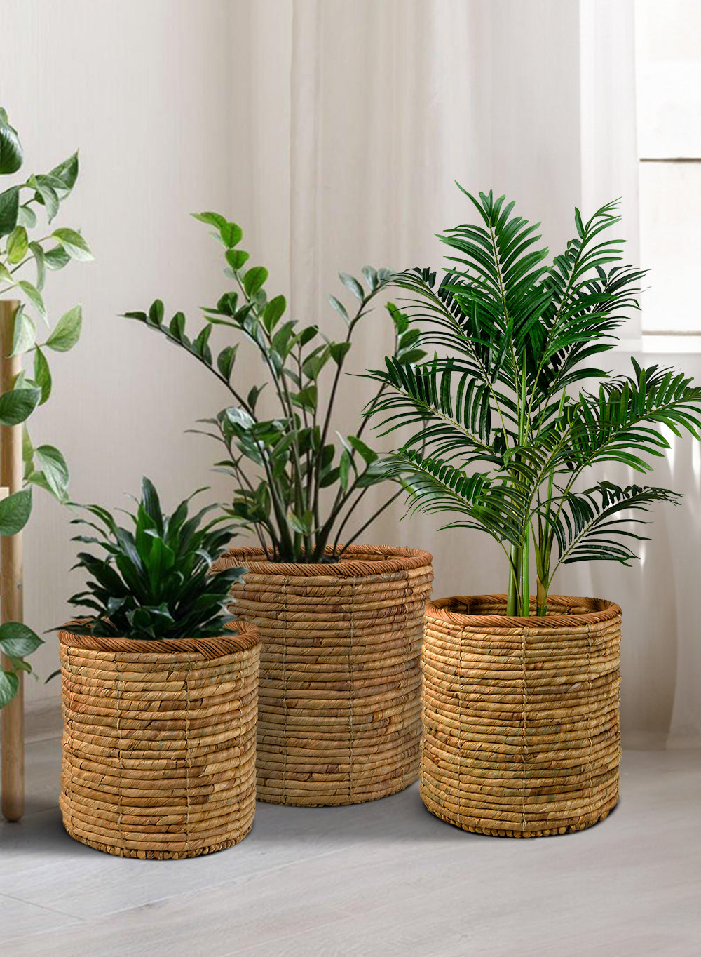 Eco-Friendly Water Hyacinth Collection - Pots Tray, Basket, and Vase