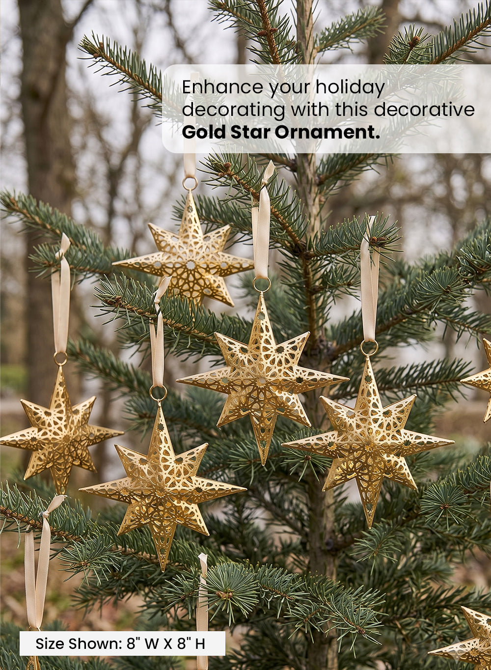 Champagne Gold Star Ornament with Satin Ribbon, 8" Diameter, Pack of 4
