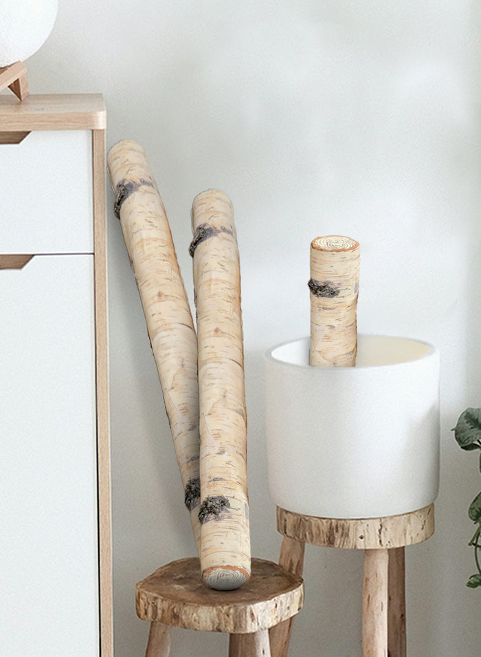 Artificial Birch Log, Pack of 18, Available in 2 Sizes