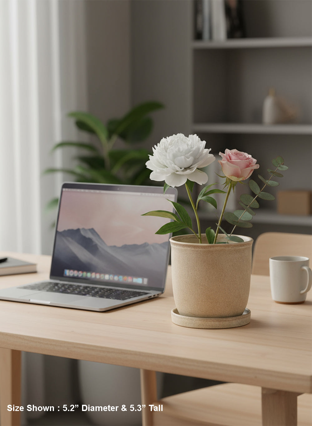 Ceramic Planter with Saucer, Available in 2 Sizes and Colors
